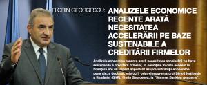 Florin Georgescu, BNR: Analizele economice recente arată necesitatea accelerării pe baze sustenabile a creditării firmelor 1