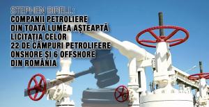 Stephen Birell: Companii petroliere din toată lumea aşteaptă licitaţia celor 22 de câmpuri petrolifere onshore şi 6 offshore din România 1