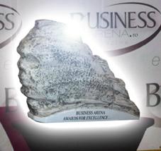 Business Arena Awards for Excellence 2018 1